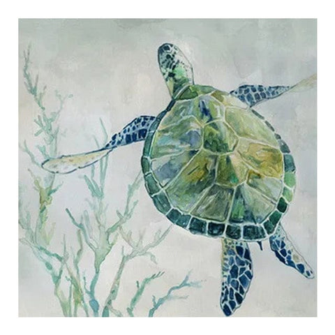 Serene Turtle Canvas Wall Art